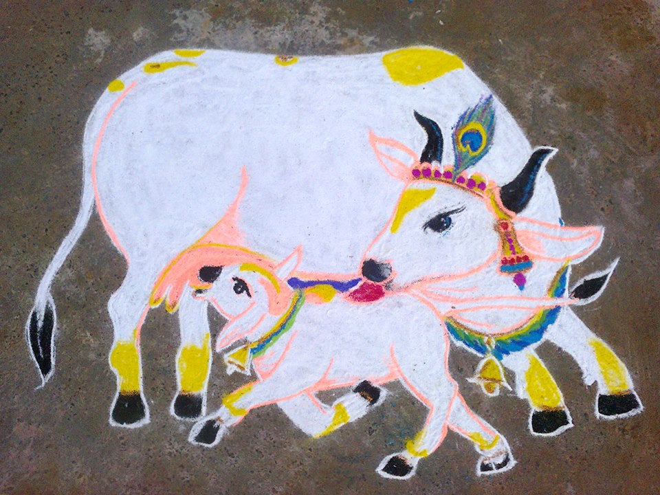 pongal kolam by suseela subbiah 2