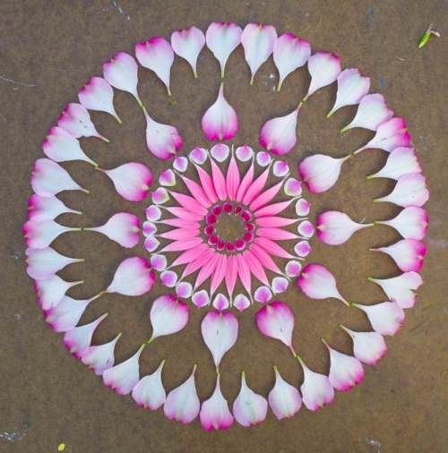 flower rangoli design 3