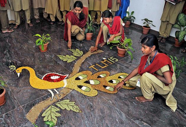 peacock pulses rangoli design 15