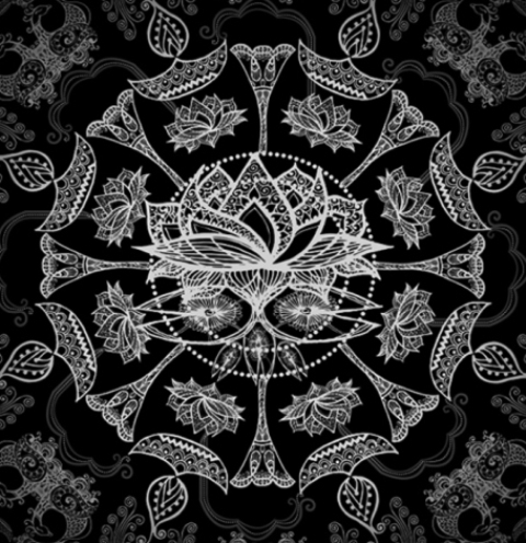 2 kolam art rangoli designs by thineswari govindasamy