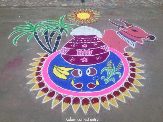 3 pongal rangoli design by irangoli